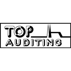 TOP taxAUDITING, s.r.o.