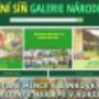 Aukční síň Galerie Národní 25