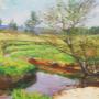 Aukční síň Galerie Národní 25