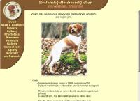 Helena Dvořáková
