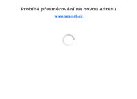 Webová stránka Salesiánské středisko mládeže