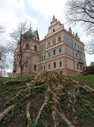 Městská knihovna Přelouč
