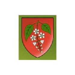 Třemošná - městský úřad